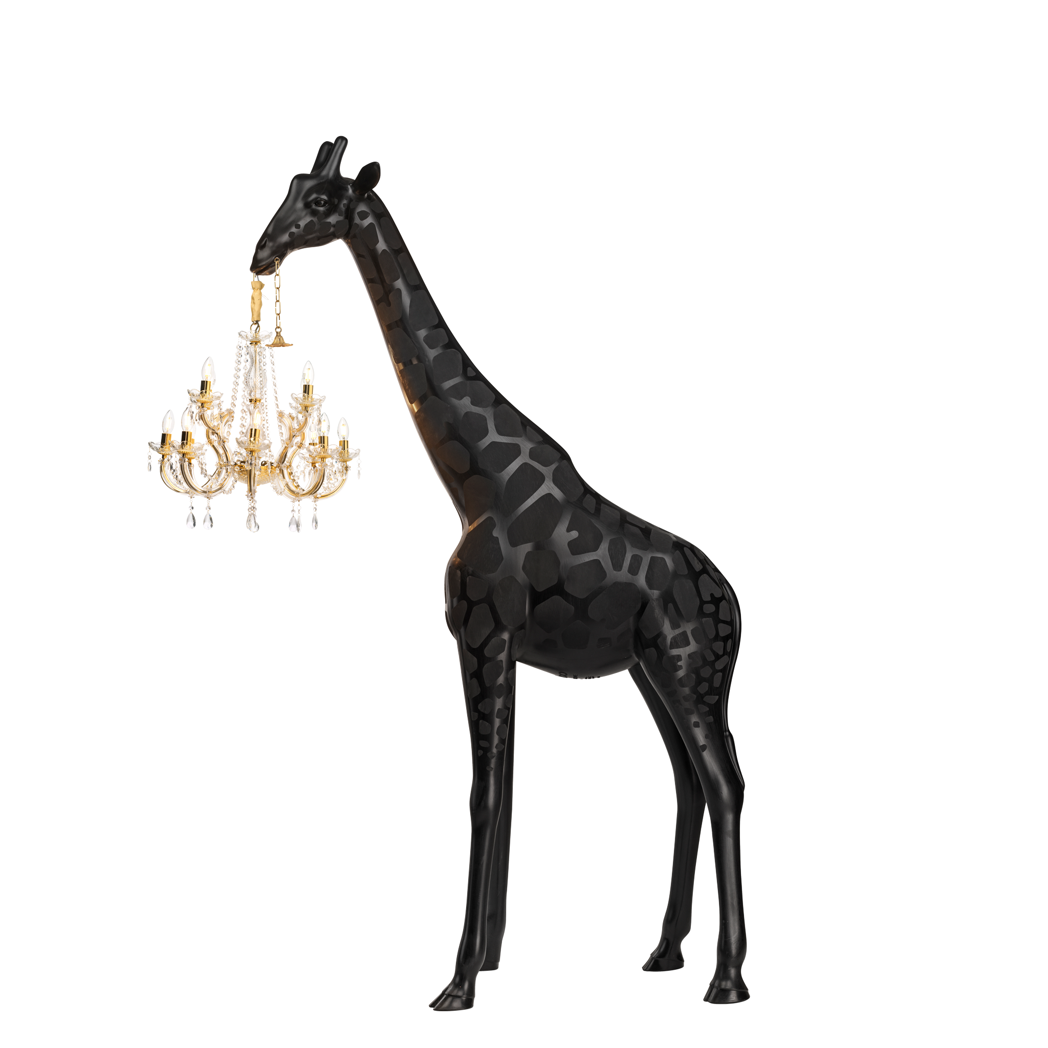 Giraffe In Love Indoor