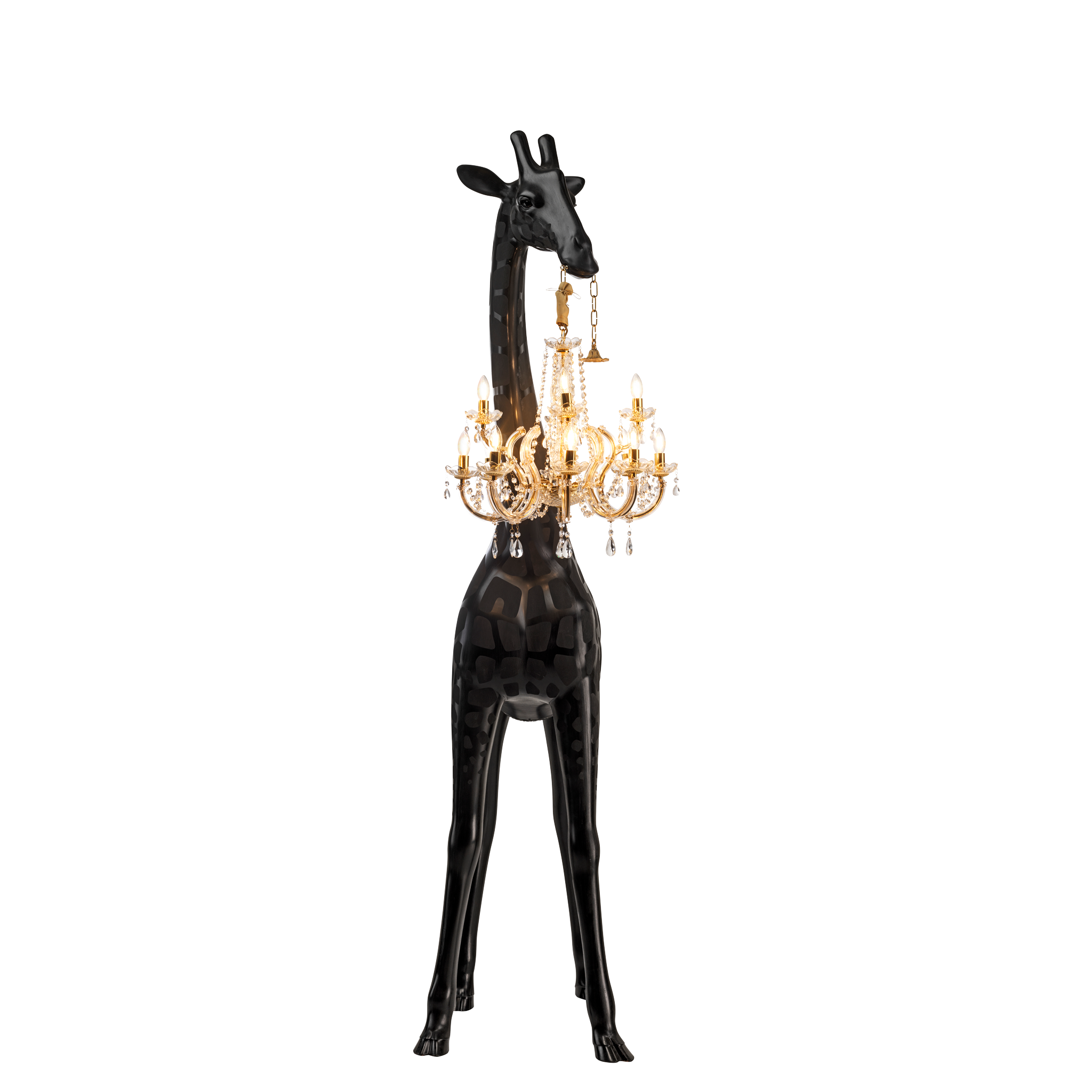 Giraffe In Love Indoor