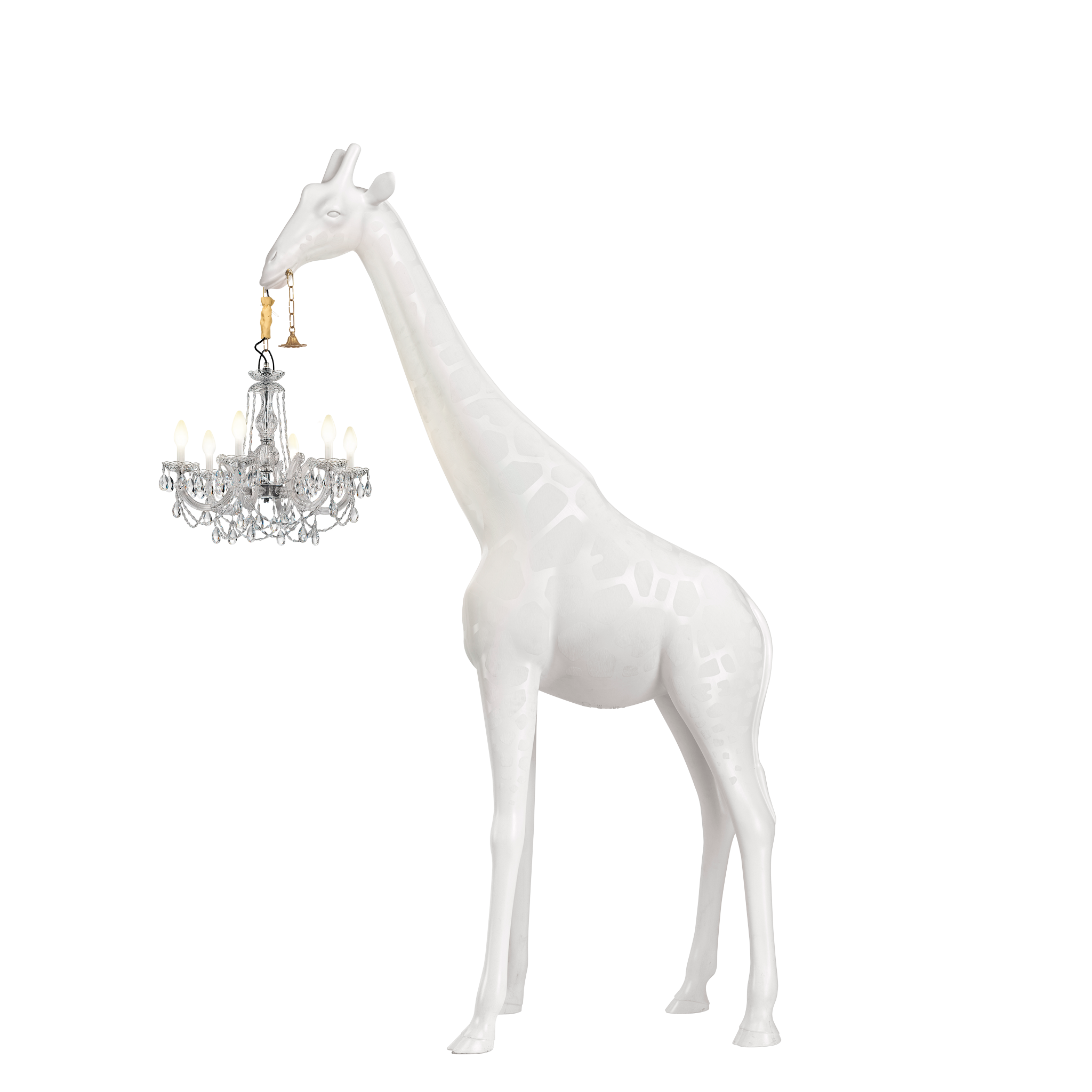 Giraffe In Love Indoor